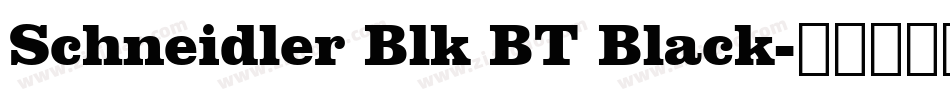 Schneidler Blk BT Black字体转换